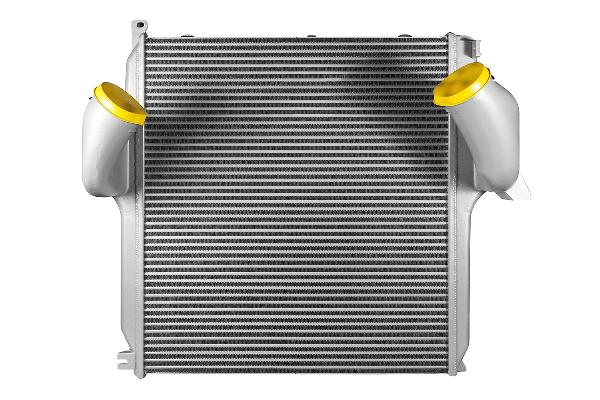 Z12503