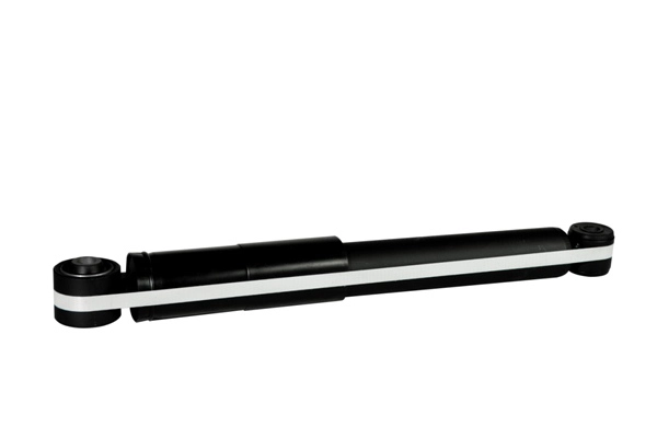 Z00828