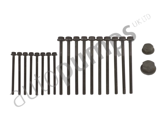 LR004369 (x10)