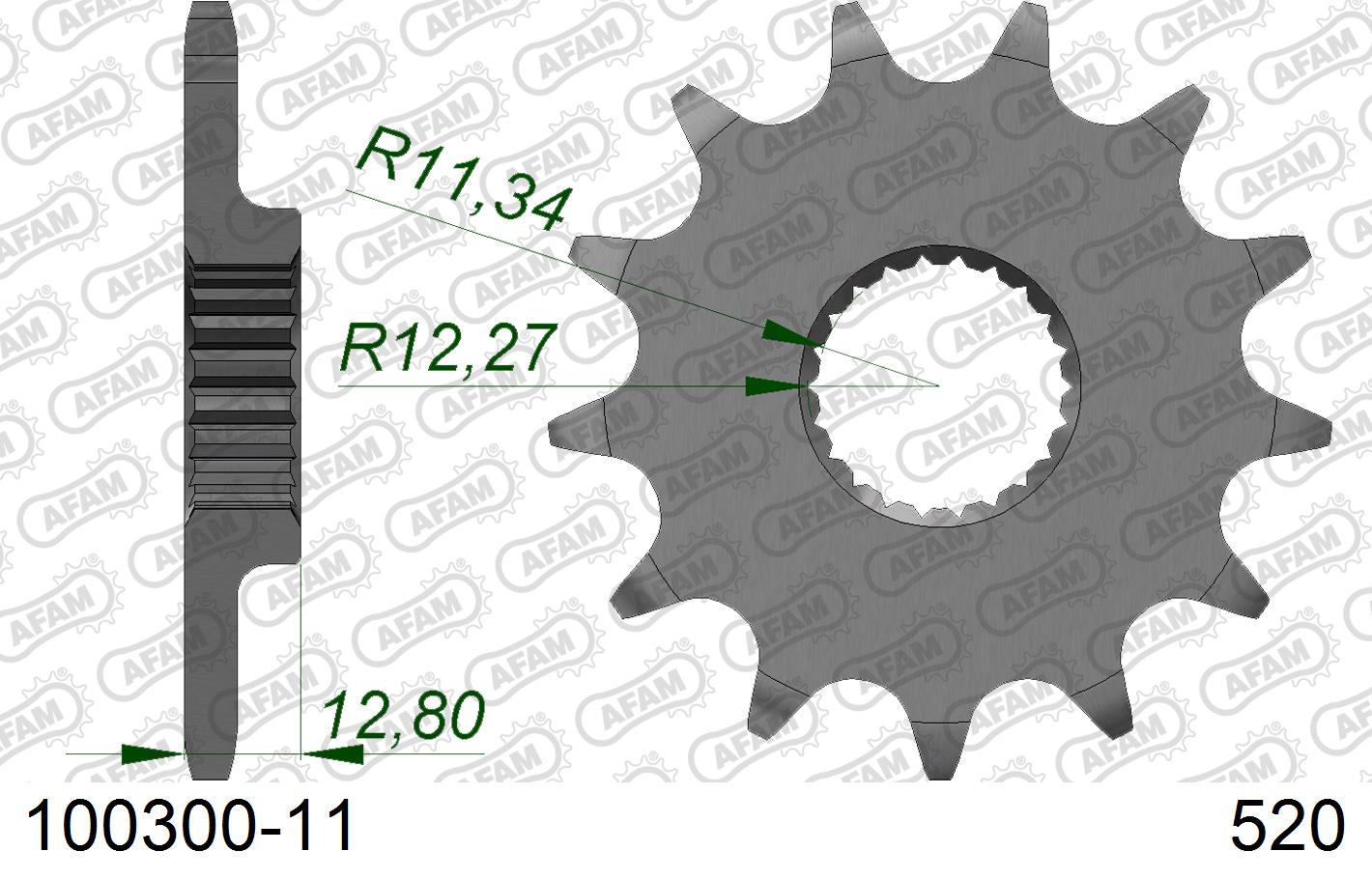 100300-11