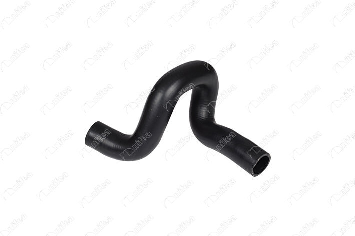 17392