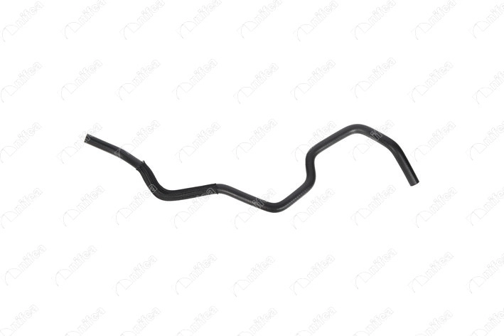 11161
