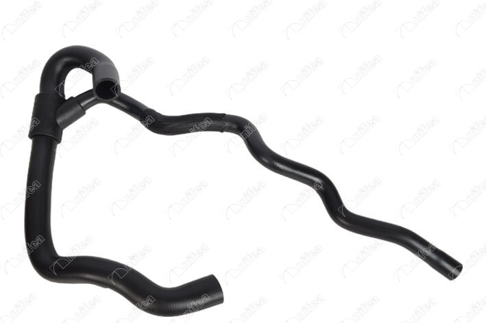 19919