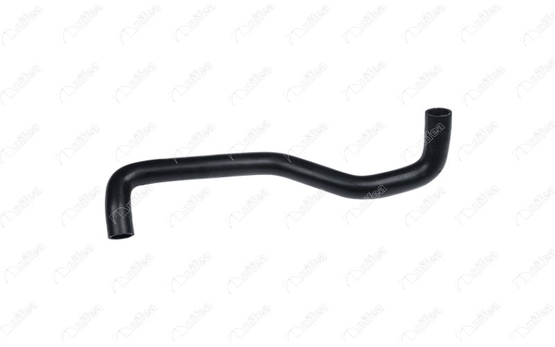 27702