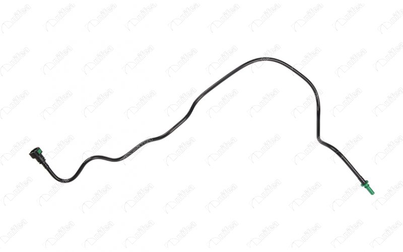17555