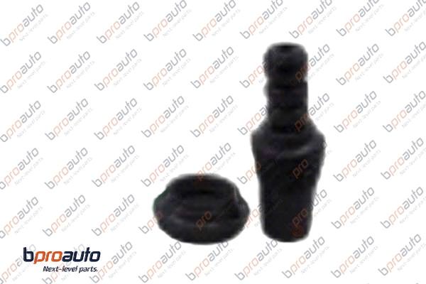 1BP30163AA