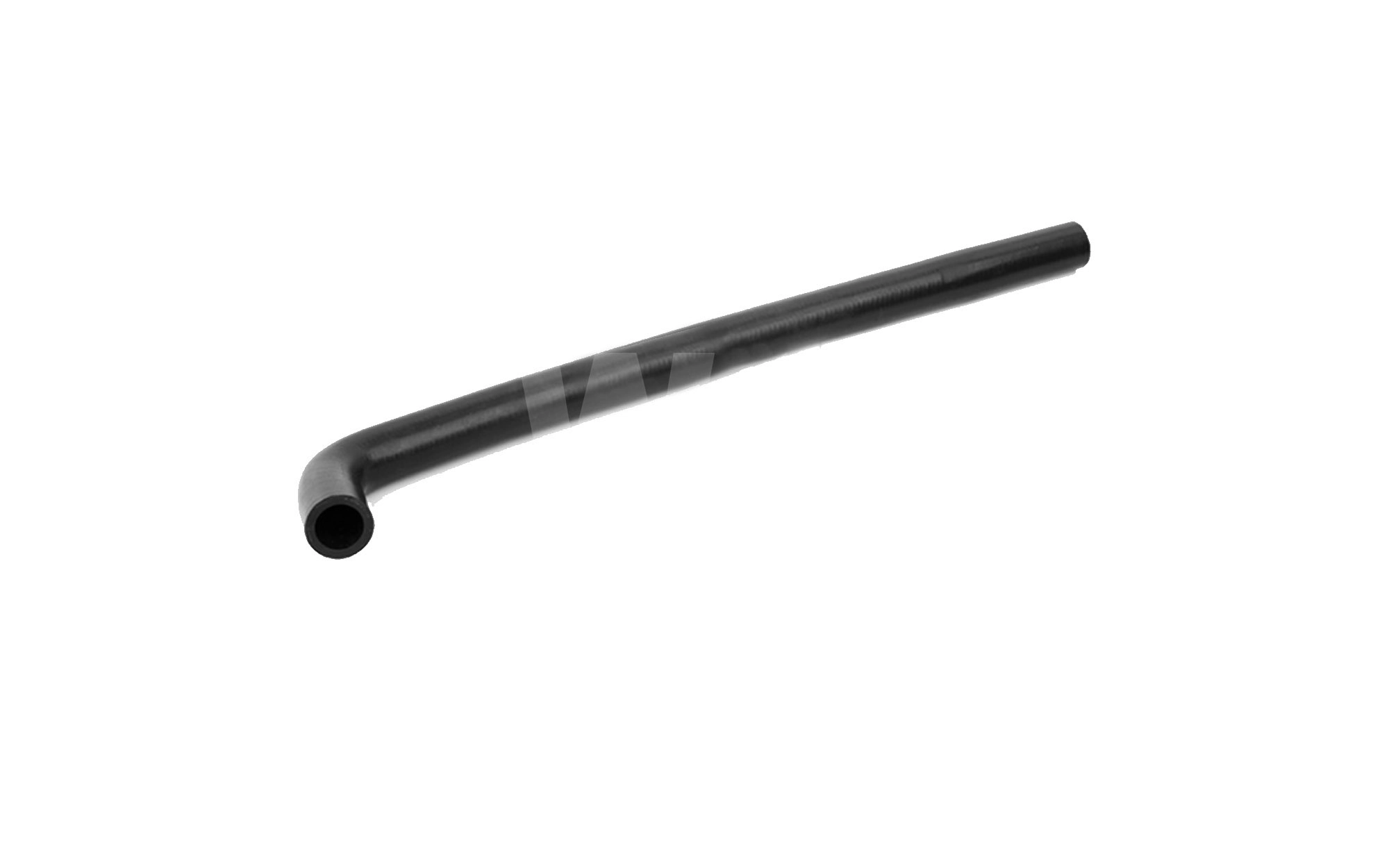 T558364
