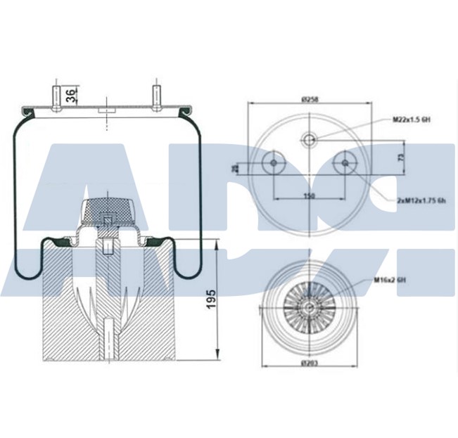 51830015