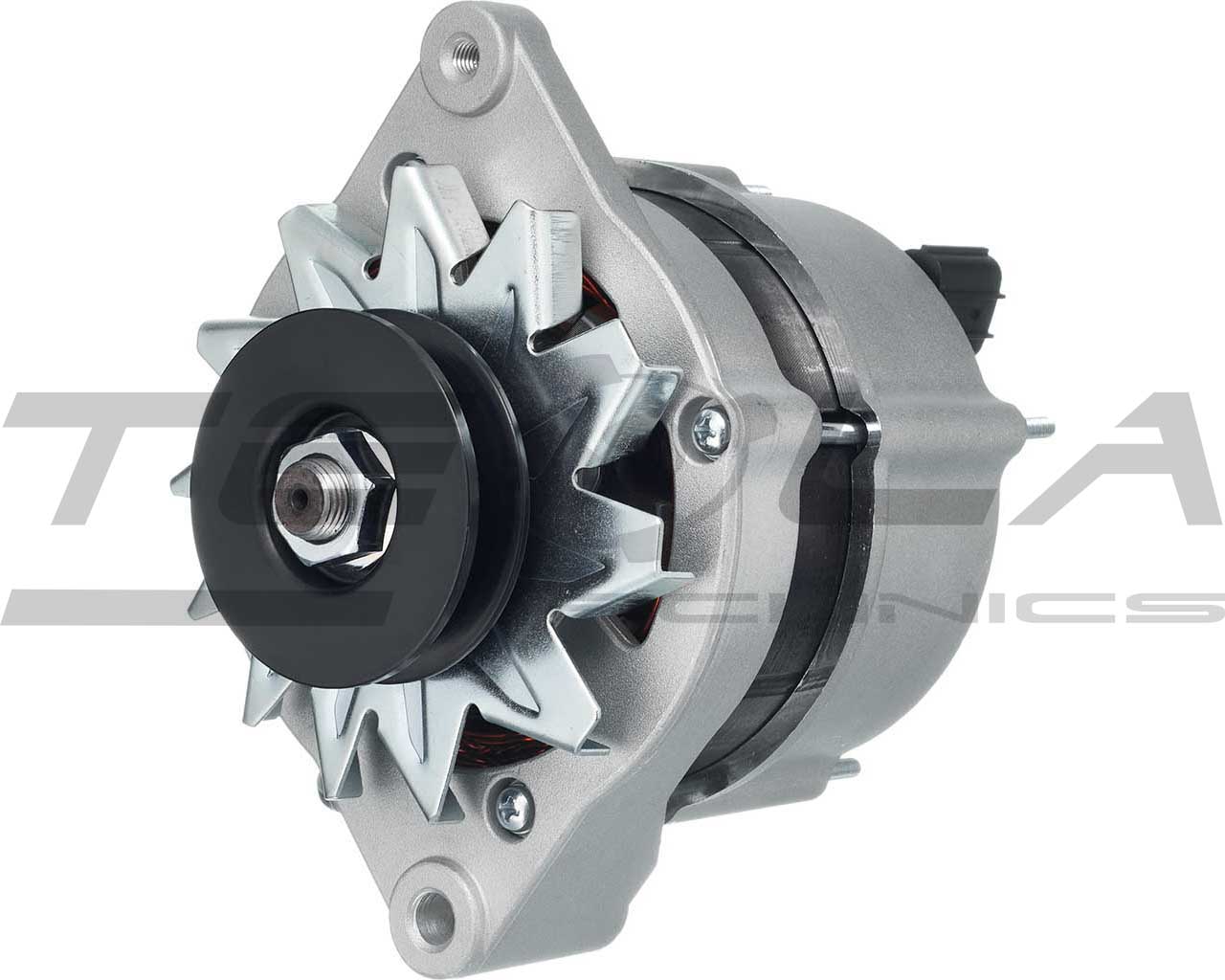TT13009