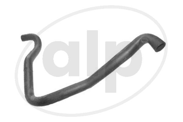ALP-003997