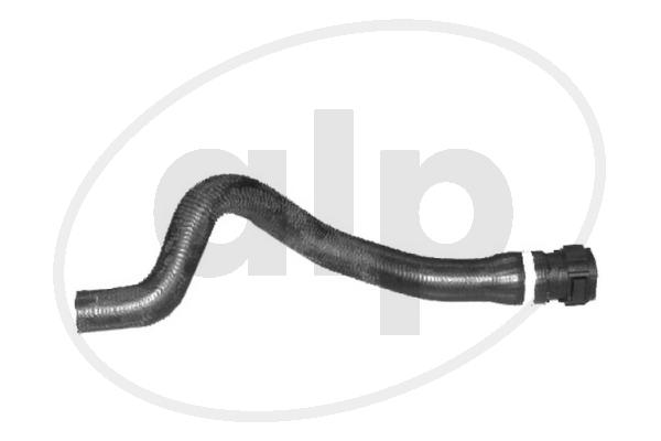 ALP-003904