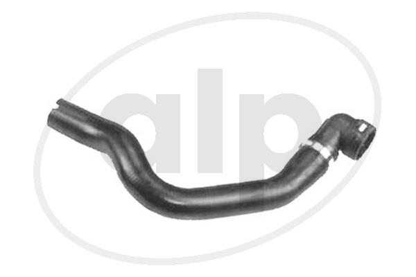 ALP-004404