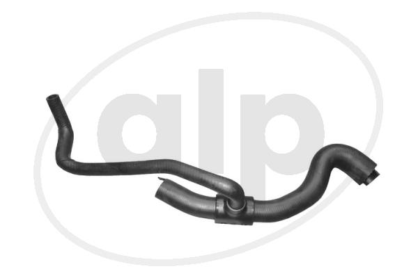 ALP-003697