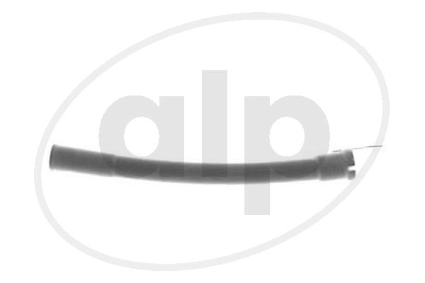 ALP-001308