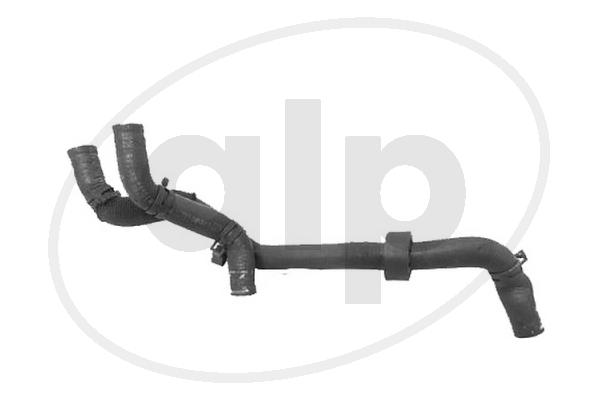 ALP-004307