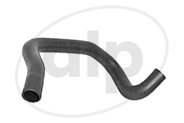 ALP-004213