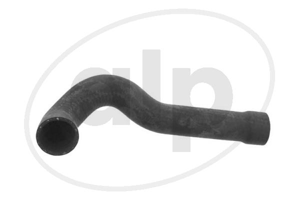 ALP-004444