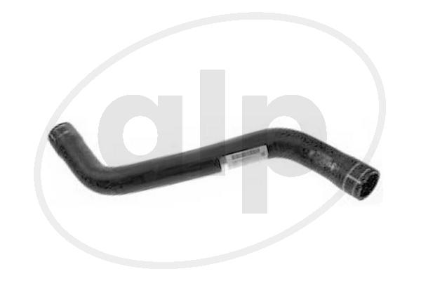 ALP-006684