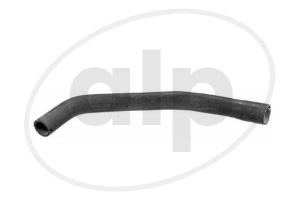 ALP-005656