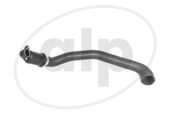 ALP-007543