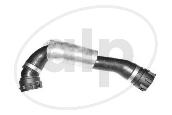 ALP-007250