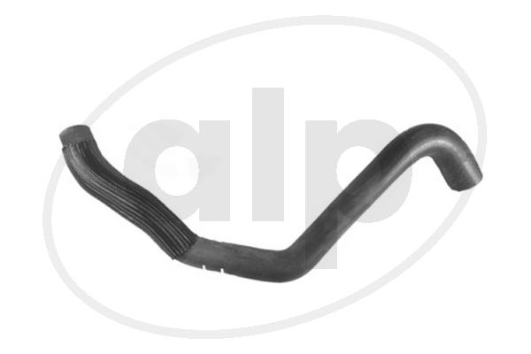 ALP-005589