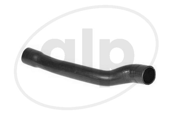 ALP-007196