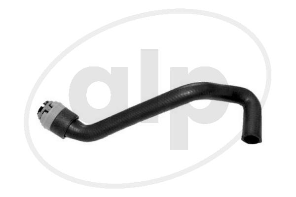 ALP-004039