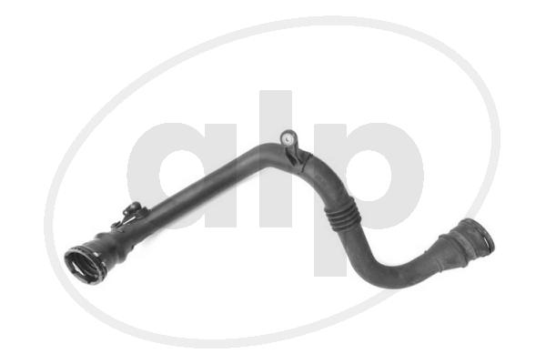 ALP-006181