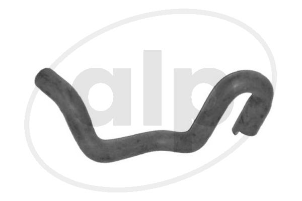 ALP-003813