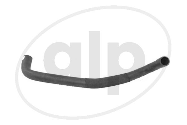 ALP-005636