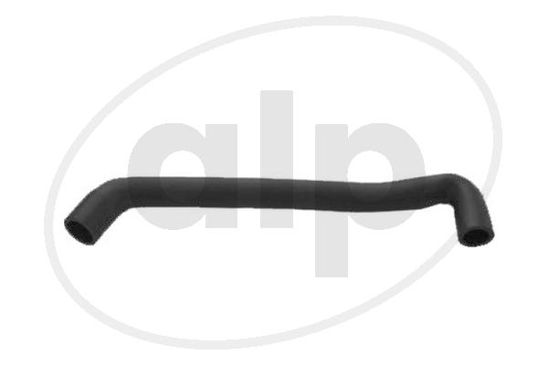 ALP-004091