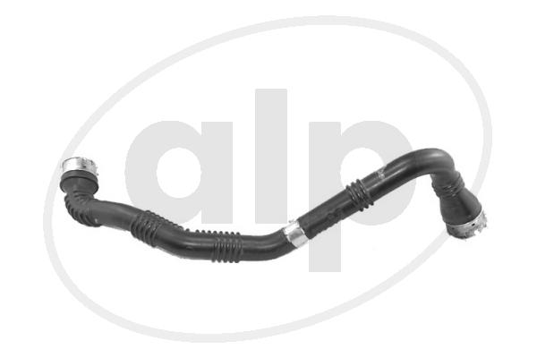 ALP-006128