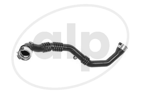 ALP-007877