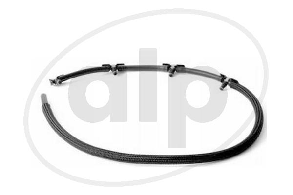 ALP-006613
