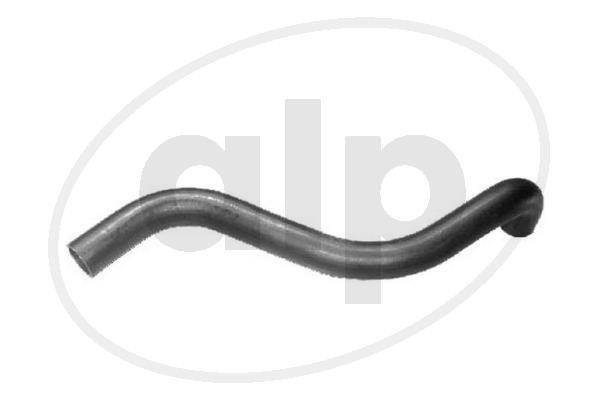 ALP-003969