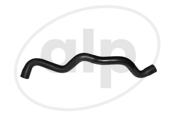 ALP-003953