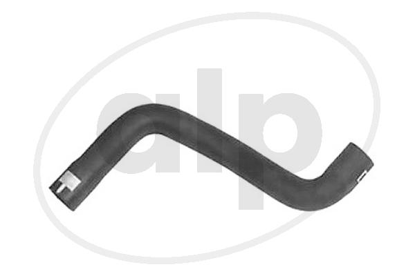 ALP-004161