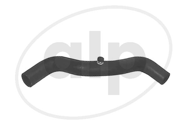 ALP-003576