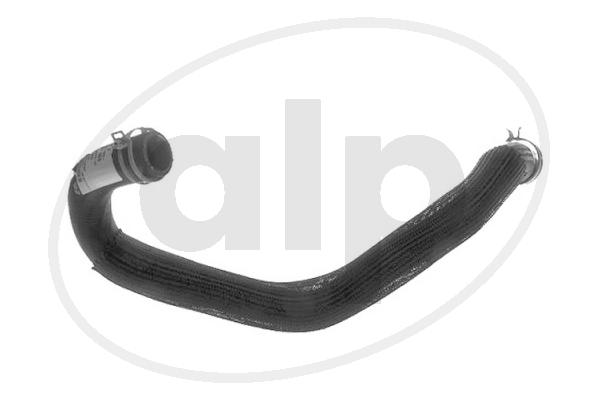 ALP-004275