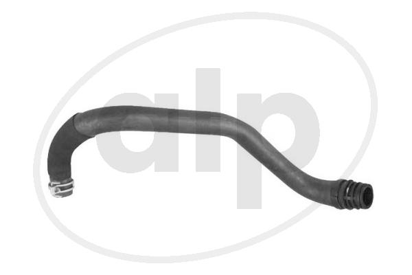 ALP-007704