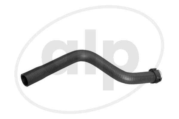 ALP-003738