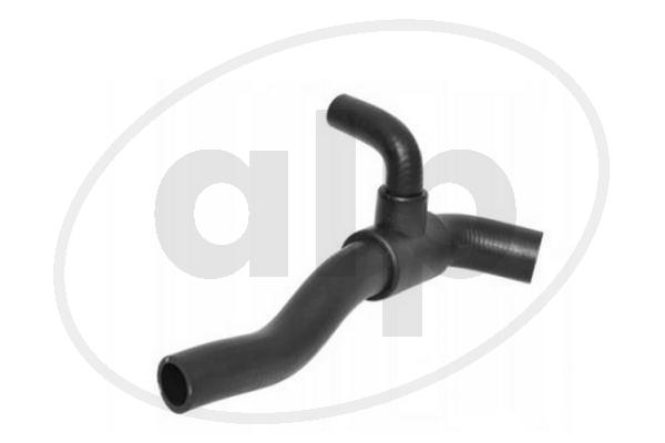 ALP-003956