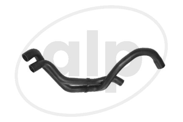 ALP-004110
