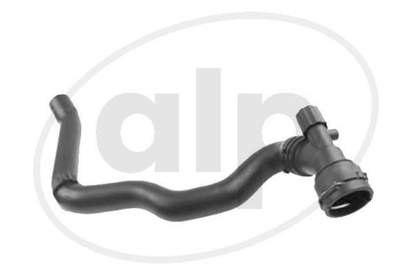ALP-004313