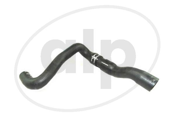 ALP-007208