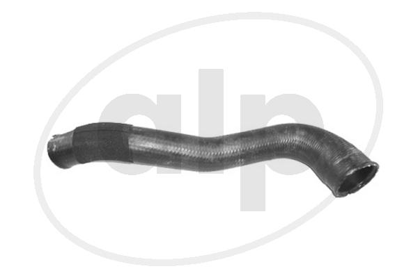 ALP-007620