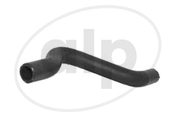 ALP-003635