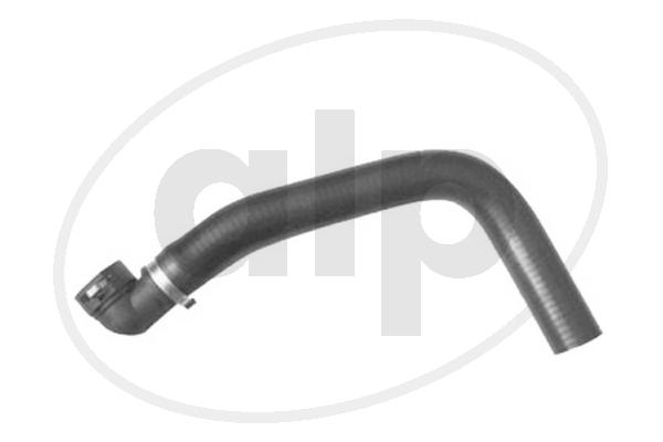 ALP-004344