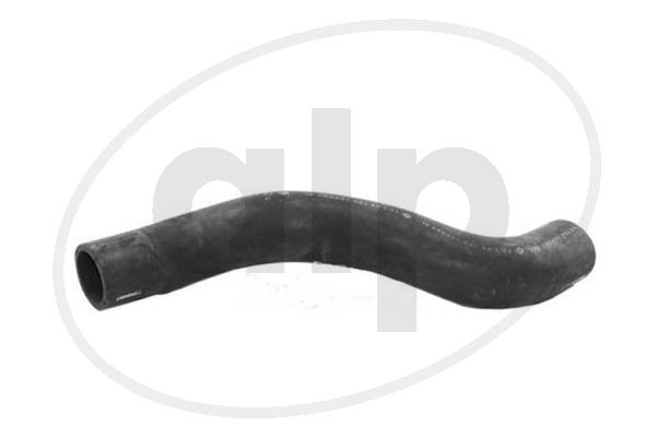 ALP-007771